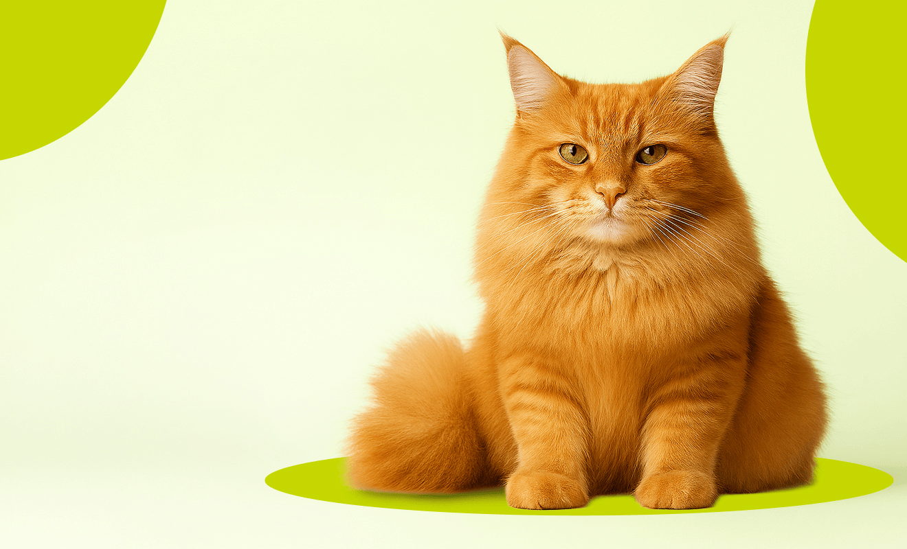 Adding Fool to the Fire: How to Strike a Balance with April Fools Email Campaigns